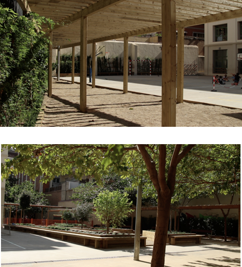 School garden