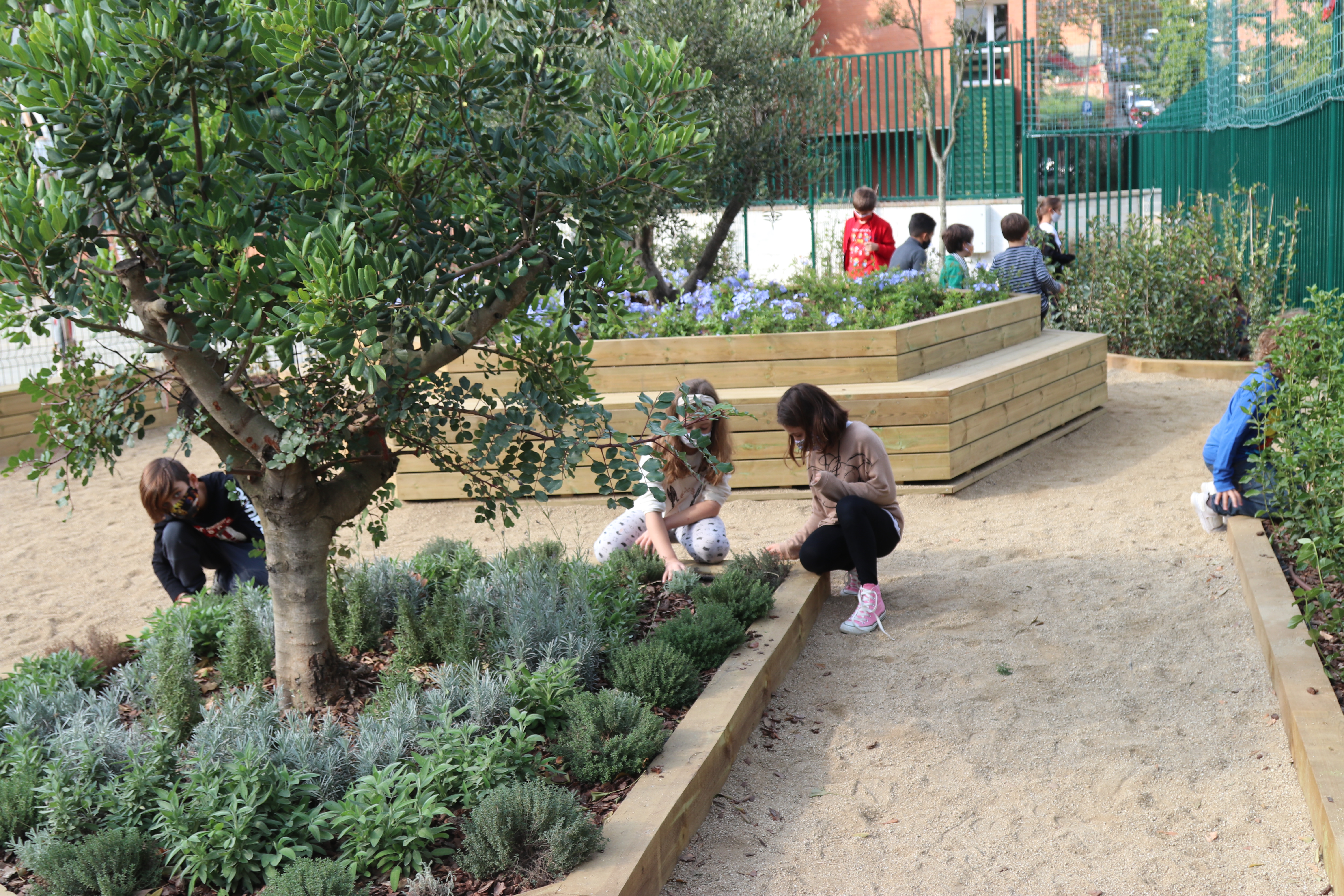 School garden