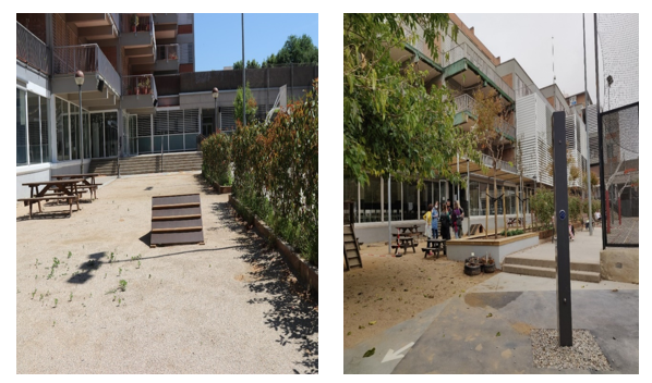 greenery at school yard