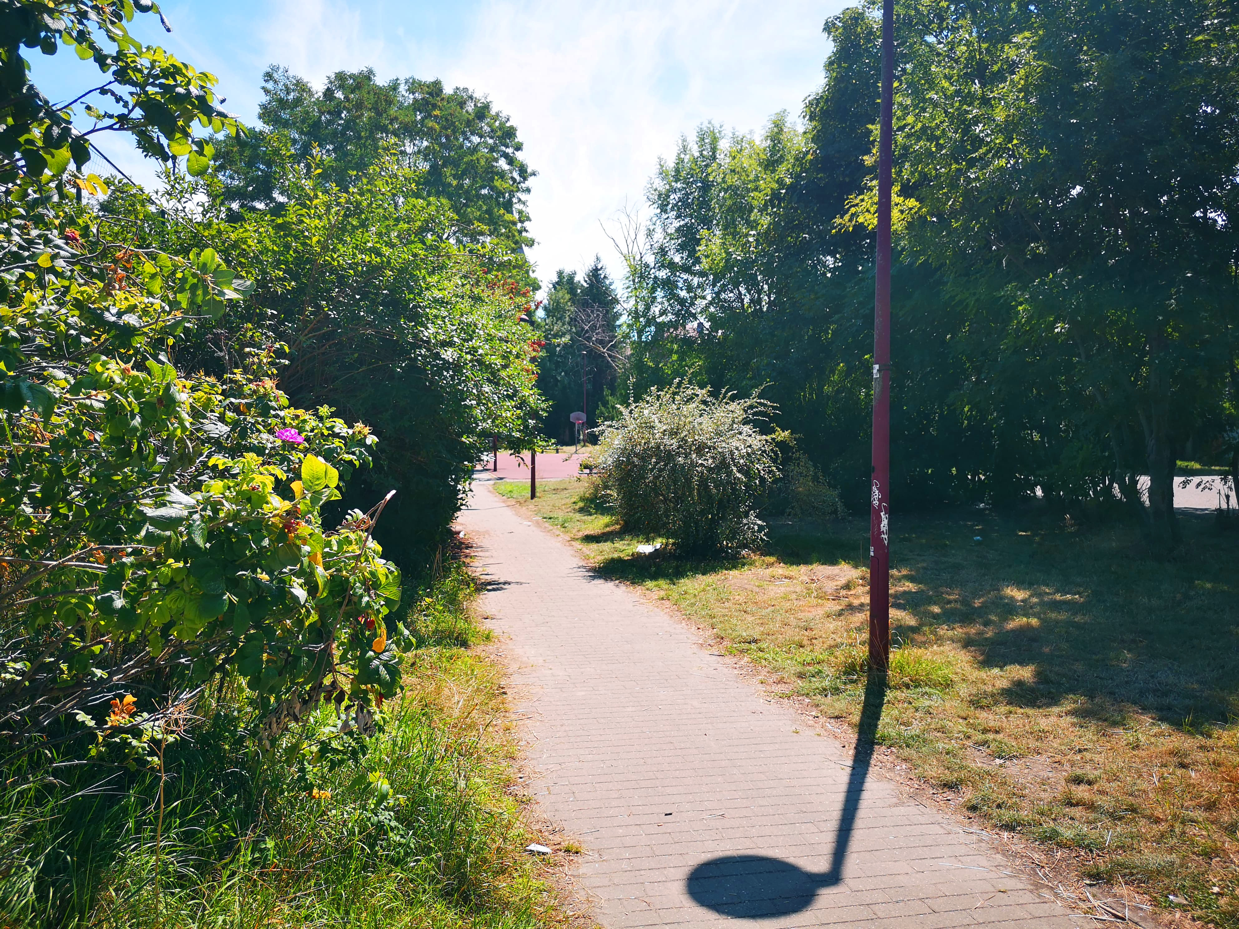 Parc des Marêts