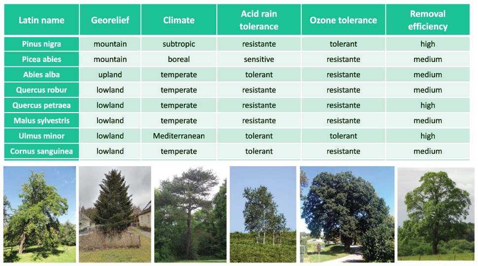 Database of plants